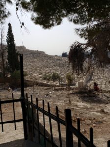 Jewish cemetery on Mount of Olives holds thousands of graves