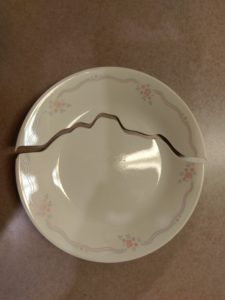 A small, white dessert plate with blue lines around the edge and small pink roses, sits on a counter. The plate has a meandering crack across one side which has broken it completely in two.
