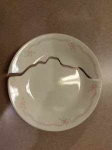 A small, white dessert plate with blue lines around the edge and small pink roses, sits on a counter. The plate has a meandering crack across one side which has broken it completely in two.