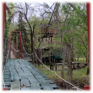 hanging bridge surrounded by trees