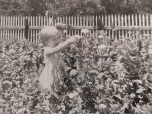 A little girl cutting flowers in a field of flowers taller than her! It's a great place to dream.