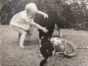 A little girl trying to pull a dog away from the food bowl so that the cats can eat.