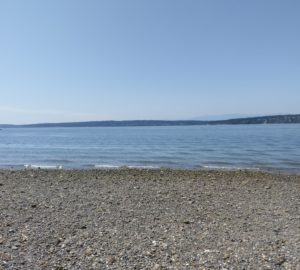 From the rocky, seashell strewn beach near Stanwood, Washington, you can see the Olympic Mountains of Washington in the distance.